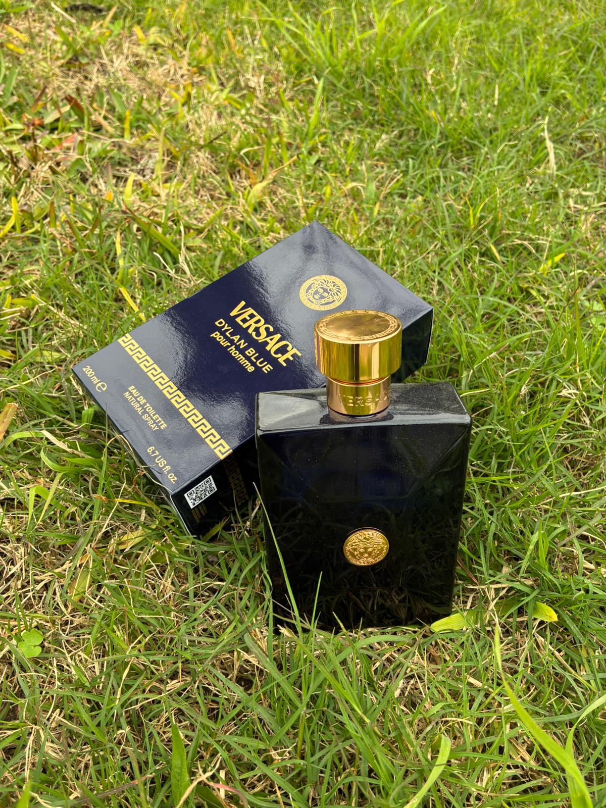 Versace Dylan Blue Pour Homme - Decant