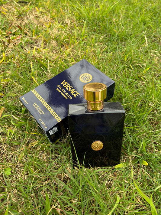 Versace Dylan Blue Pour Homme - Decant